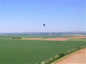 drone-developpement-troyes-aube_tournage-aile-volante-soufflet-agriculture-1