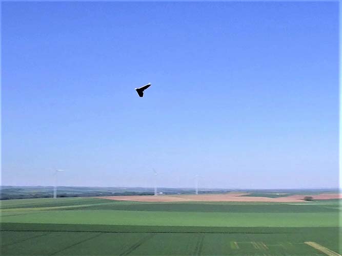 Une aile volante filmée par drone